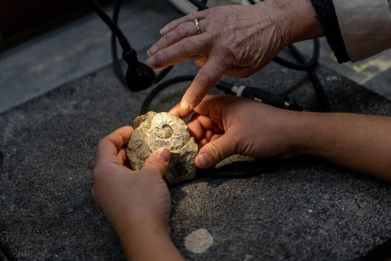 Third showcase image