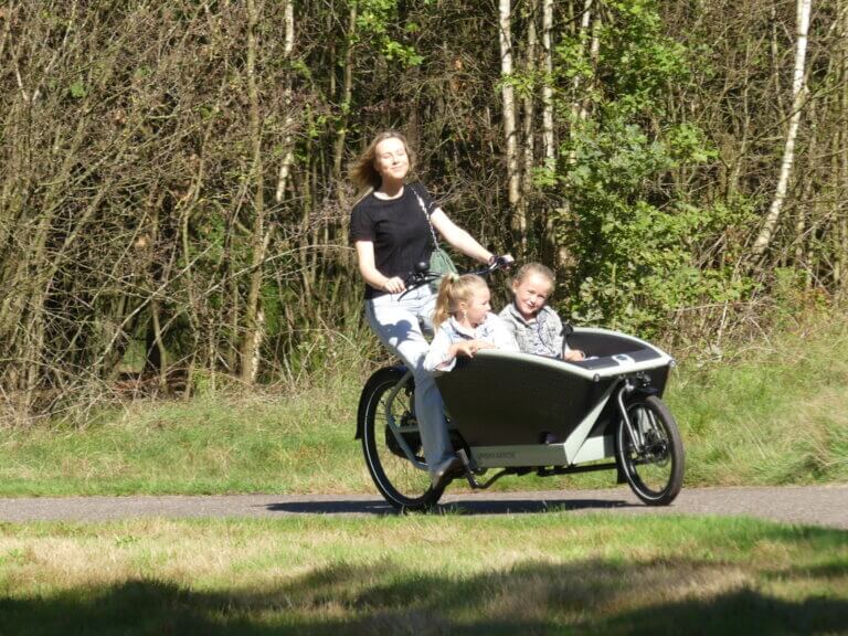 Third showcase image