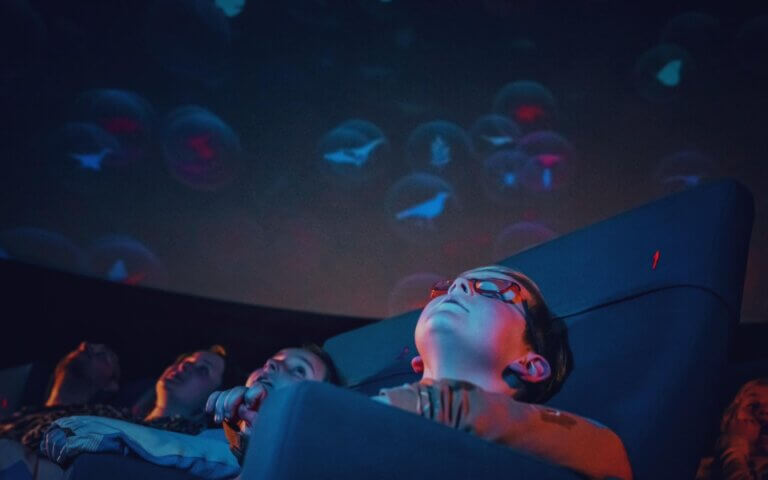 Second showcase image