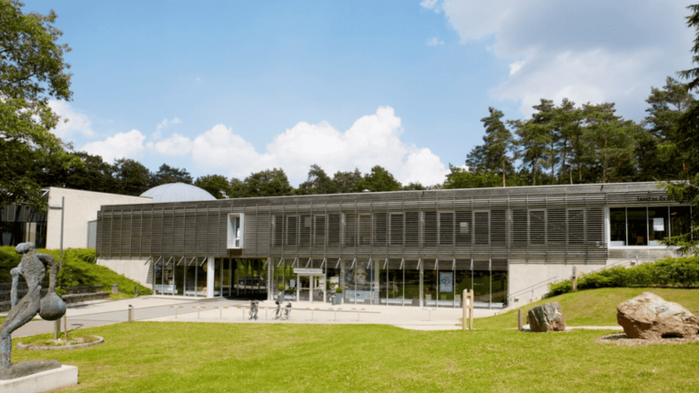 Third showcase image