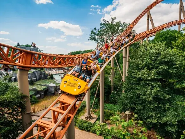 Second showcase image