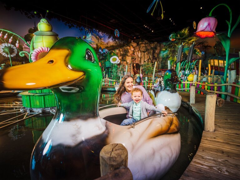 Second showcase image