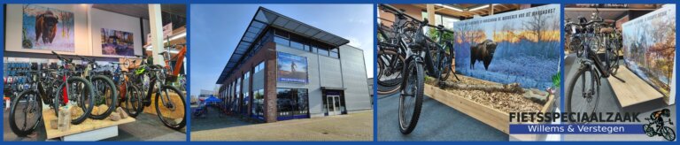 Second showcase image