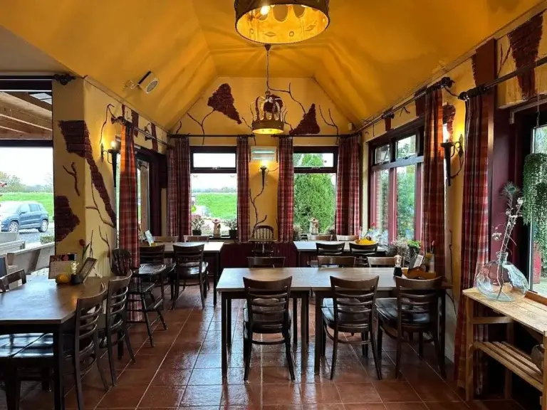 Third showcase image