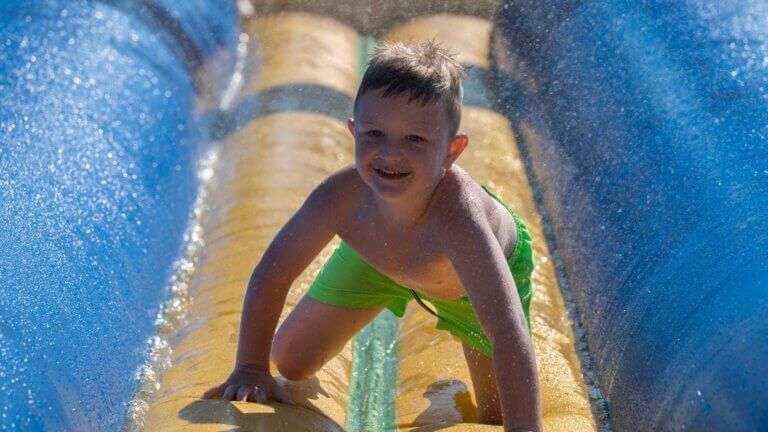 Third showcase image