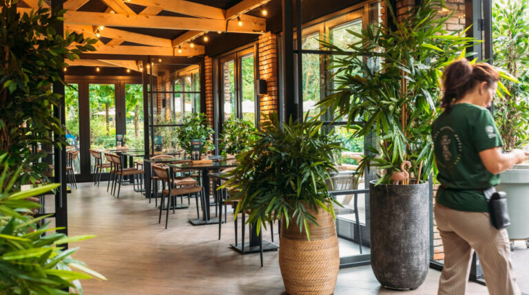 Third showcase image