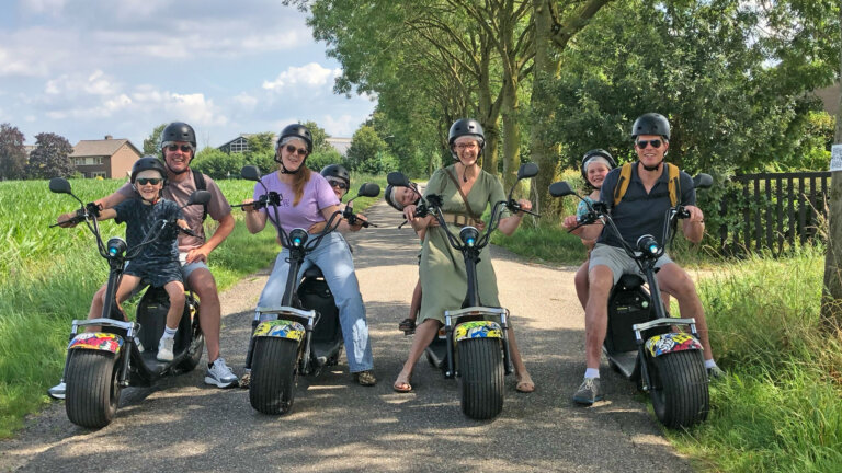 Third showcase image