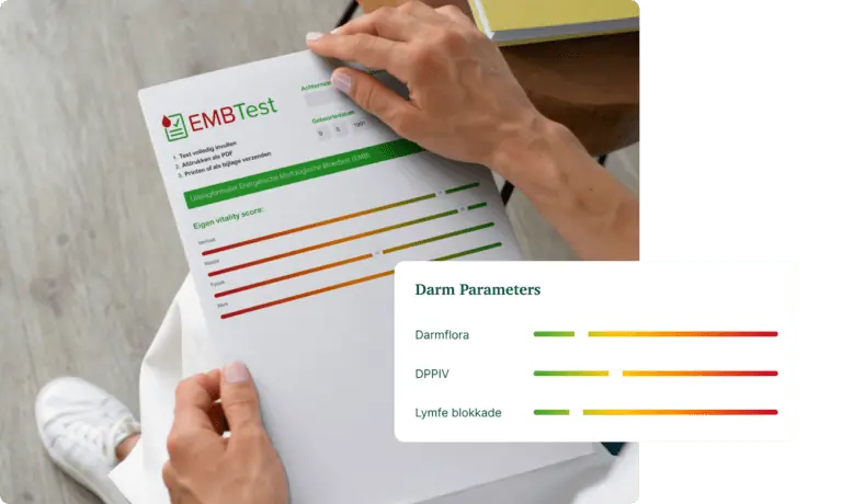 Second showcase image