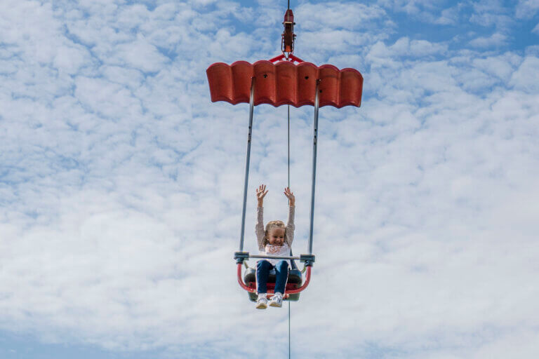 Third showcase image