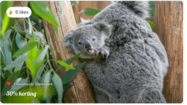 30% korting bij Ouwehands Dierenpark