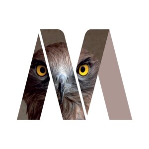 Natuurmuseum Brabant