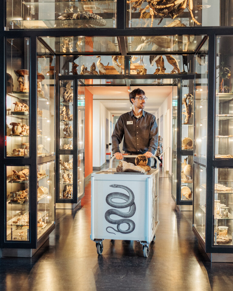 Third showcase image