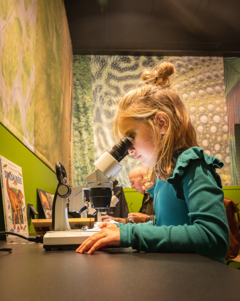 Second showcase image